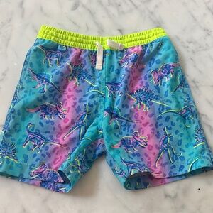 Chubbies Dinosaur Print Swim Trunks